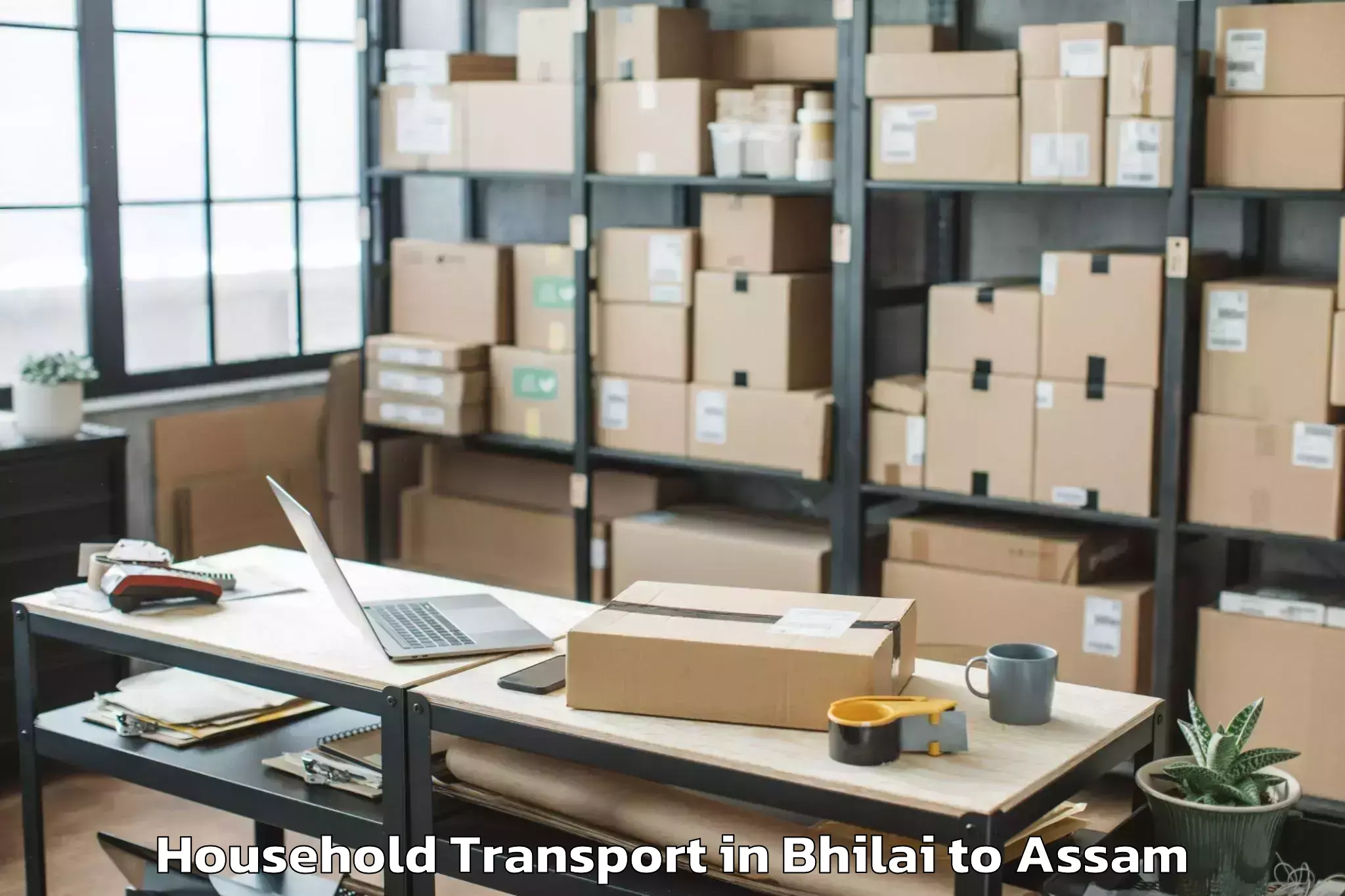 Quality Bhilai to Silapathar Household Transport